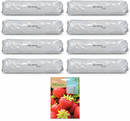 Pack huerto escolar con fresas para huerto urbano: 8 sacos + 8 sobres Rocalba