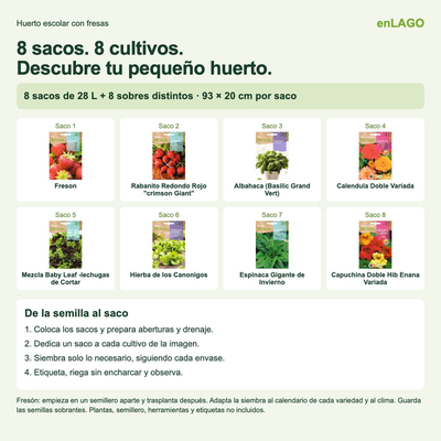 Pack huerto escolar con fresas para huerto urbano: 8 sacos + 8 sobres Rocalba