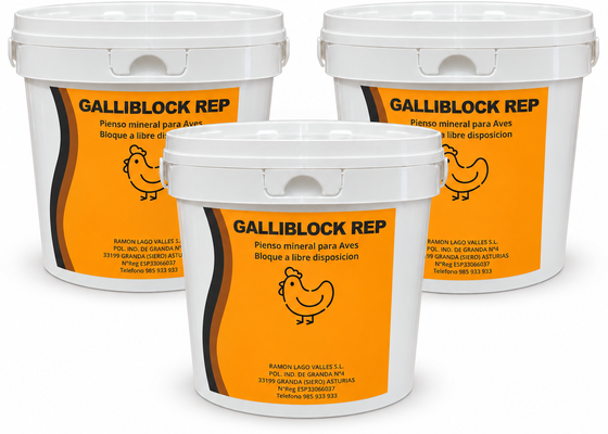 Pack 3 calderos GalliBlock REP 4 kg ? 12 kg